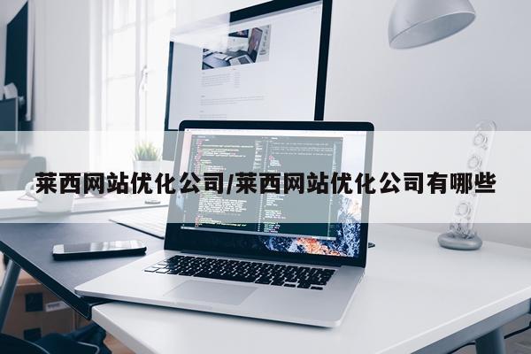 莱西网站优化公司/莱西网站优化公司有哪些