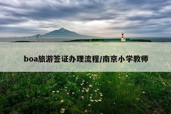 boa旅游签证办理流程/南京小学教师