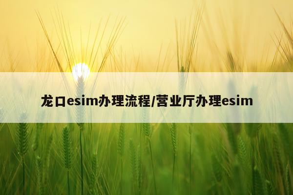 龙口esim办理流程/营业厅办理esim