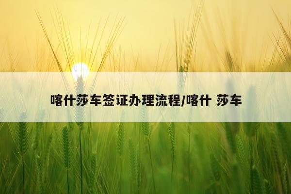 喀什莎车签证办理流程/喀什 莎车