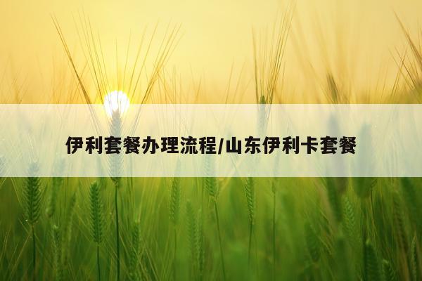 伊利套餐办理流程/山东伊利卡套餐
