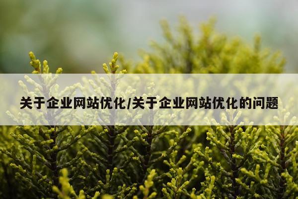 关于企业网站优化/关于企业网站优化的问题