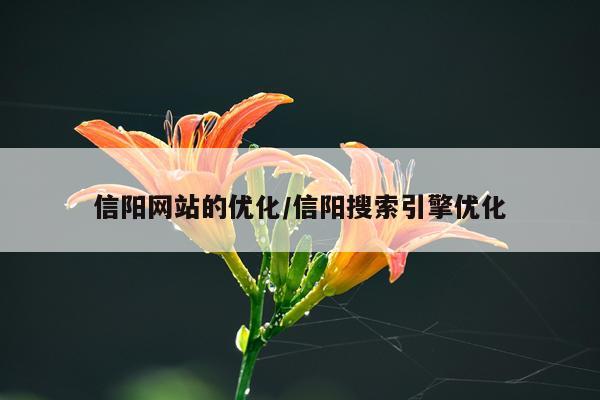 信阳网站的优化/信阳搜索引擎优化