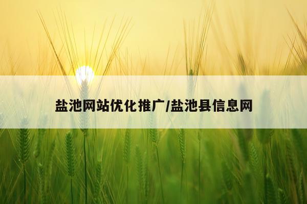 盐池网站优化推广/盐池县信息网