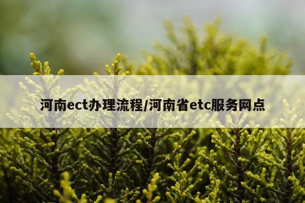河南ect办理流程/河南省etc服务网点