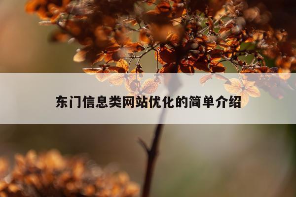 东门信息类网站优化的简单介绍
