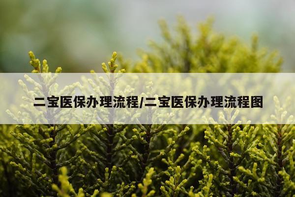 二宝医保办理流程/二宝医保办理流程图