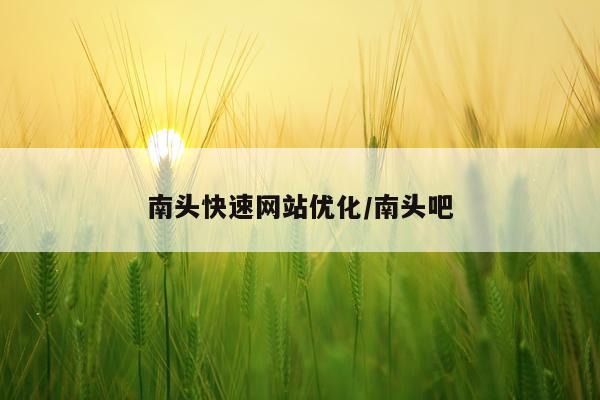 南头快速网站优化/南头吧