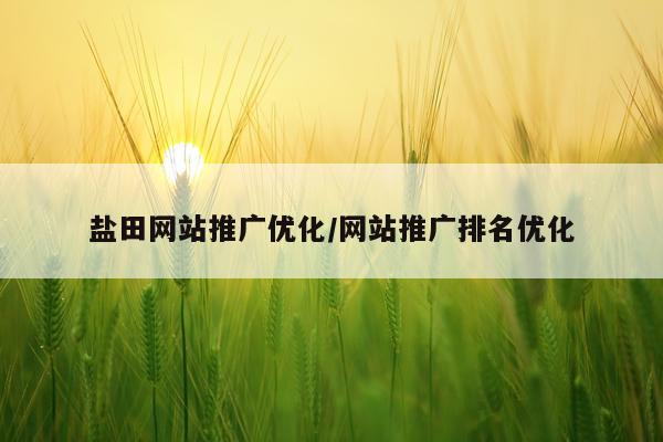 盐田网站推广优化/网站推广排名优化
