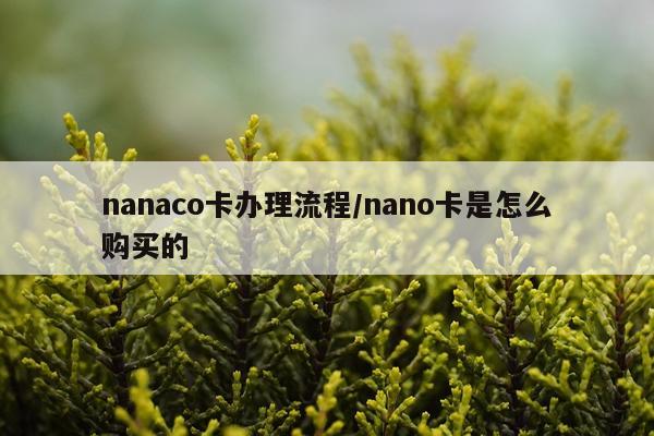 nanaco卡办理流程/nano卡是怎么购买的