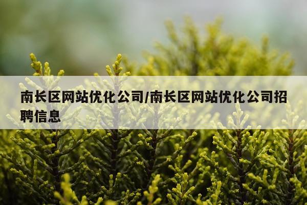 南长区网站优化公司/南长区网站优化公司招聘信息