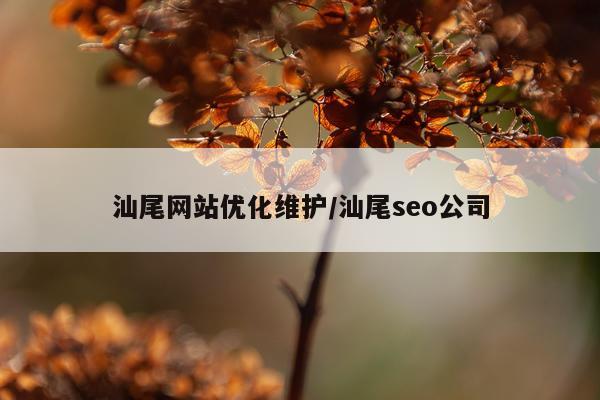 汕尾网站优化维护/汕尾seo公司