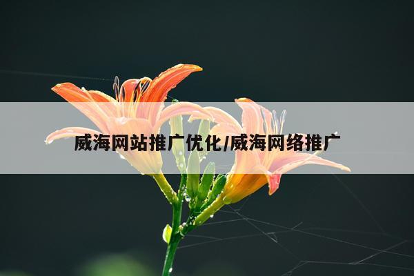 威海网站推广优化/威海网络推广