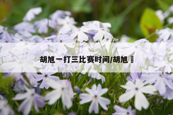 胡旭一打三比赛时间/胡旭頔