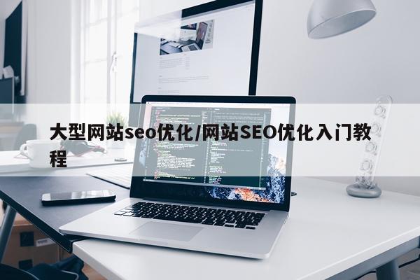 大型网站seo优化/网站SEO优化入门教程