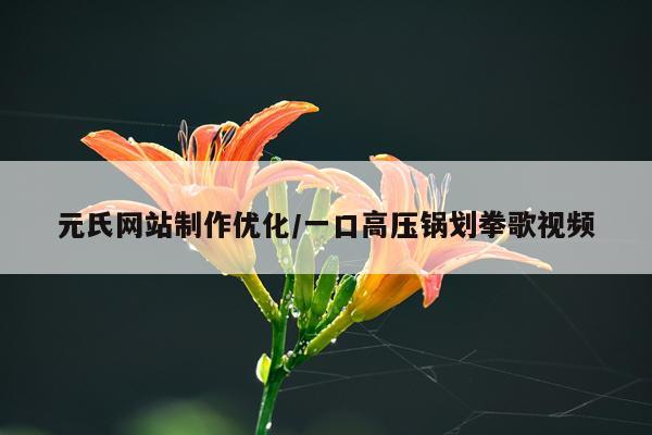 元氏网站制作优化/一口高压锅划拳歌视频