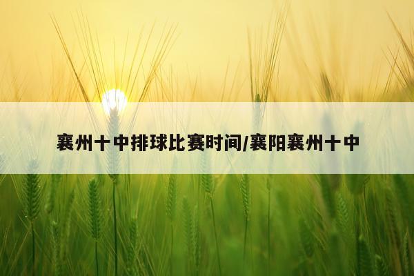 襄州十中排球比赛时间/襄阳襄州十中