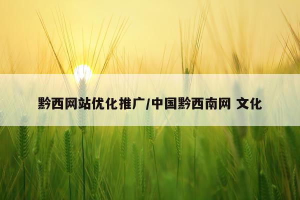 黔西网站优化推广/中国黔西南网 文化