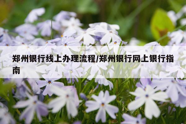 郑州银行线上办理流程/郑州银行网上银行指南