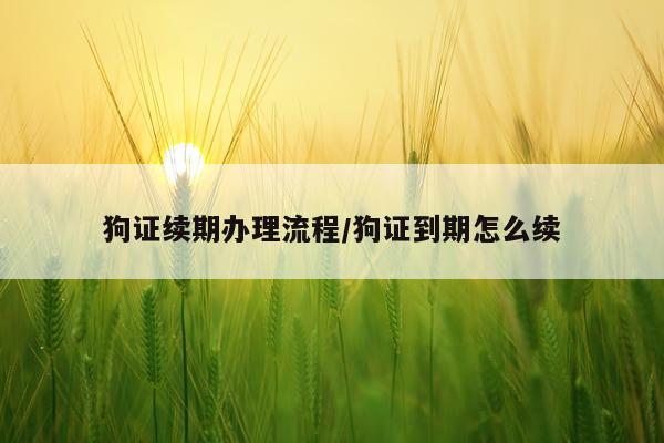 狗证续期办理流程/狗证到期怎么续
