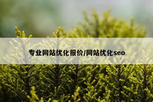 专业网站优化报价/网站优化seo