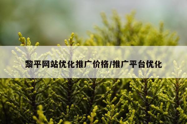 黎平网站优化推广价格/推广平台优化