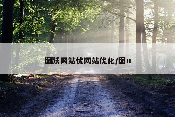 图跃网站优网站优化/图u