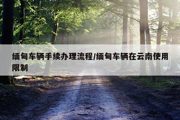 缅甸车辆手续办理流程/缅甸车辆在云南使用限制