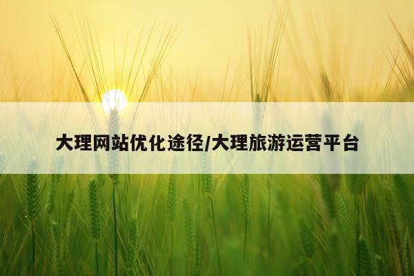 大理网站优化途径/大理旅游运营平台