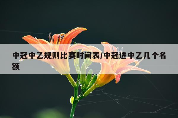 中冠中乙规则比赛时间表/中冠进中乙几个名额