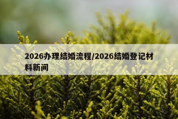 2026办理结婚流程/2026结婚登记材料新间