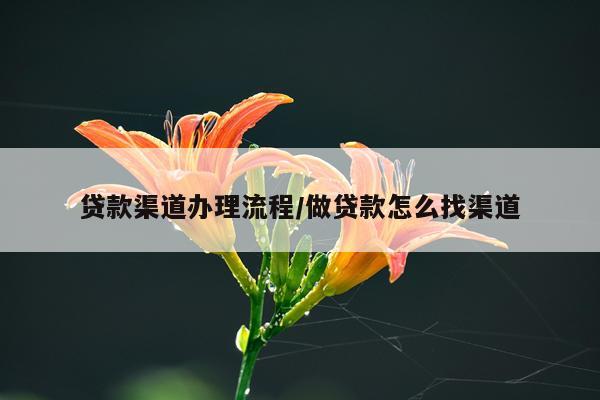 贷款渠道办理流程/做贷款怎么找渠道