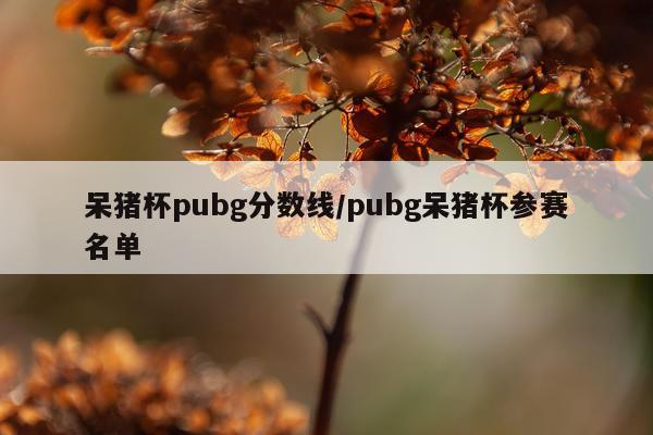 呆猪杯pubg分数线/pubg呆猪杯参赛名单