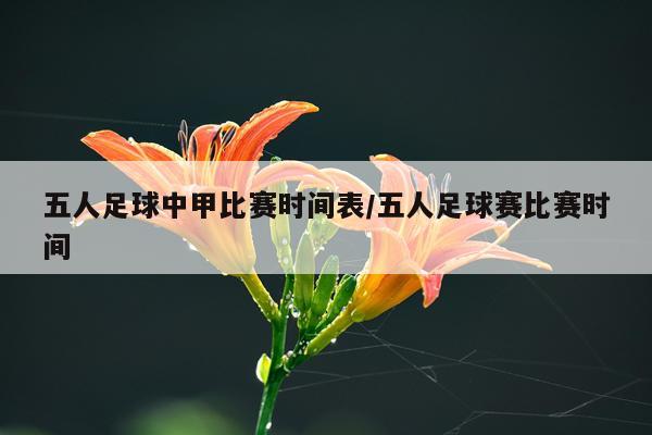 五人足球中甲比赛时间表/五人足球赛比赛时间
