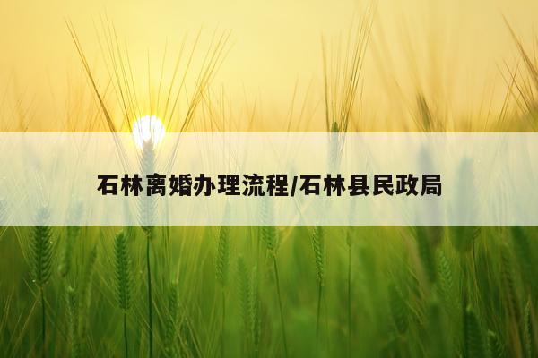 石林离婚办理流程/石林县民政局