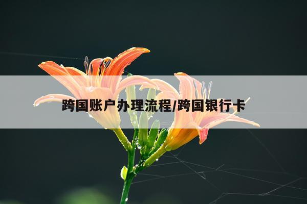 跨国账户办理流程/跨国银行卡