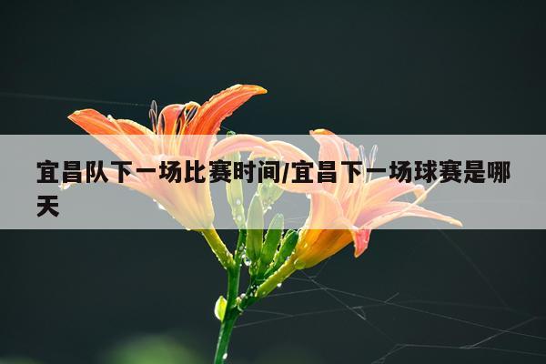 宜昌队下一场比赛时间/宜昌下一场球赛是哪天