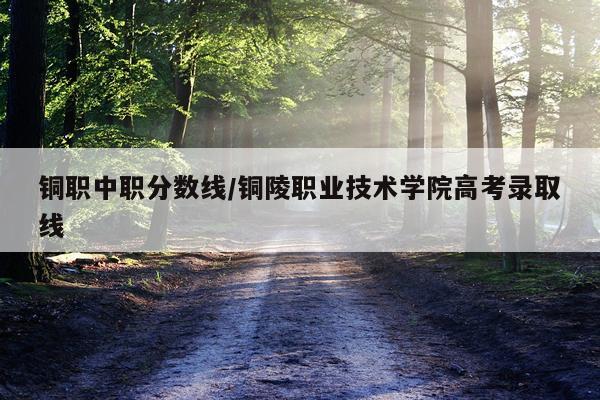 铜职中职分数线/铜陵职业技术学院高考录取线