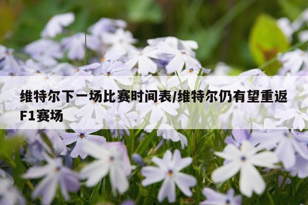 维特尔下一场比赛时间表/维特尔仍有望重返F1赛场