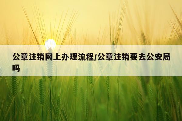 公章注销网上办理流程/公章注销要去公安局吗