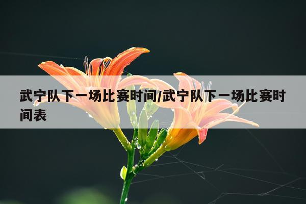 武宁队下一场比赛时间/武宁队下一场比赛时间表