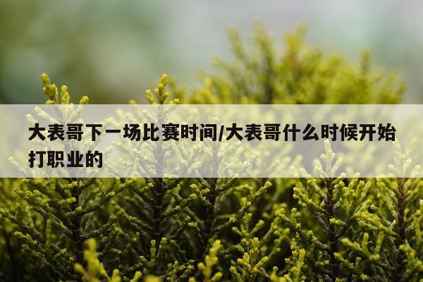 大表哥下一场比赛时间/大表哥什么时候开始打职业的