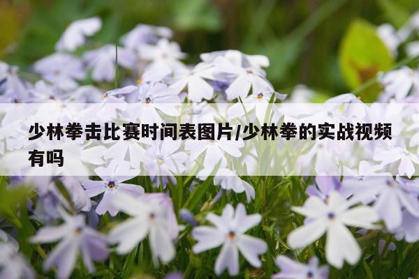 少林拳击比赛时间表图片/少林拳的实战视频有吗