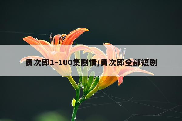 勇次郎1-100集剧情/勇次郎全部短剧