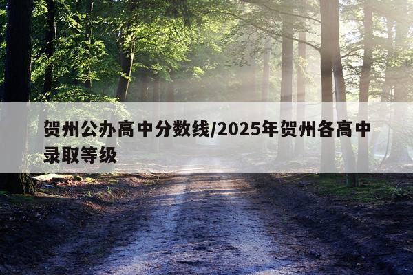 贺州公办高中分数线/2025年贺州各高中录取等级