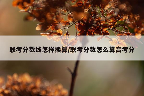 联考分数线怎样换算/联考分数怎么算高考分