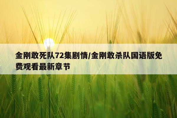 金刚敢死队72集剧情/金刚敢杀队国语版免费观看最新章节