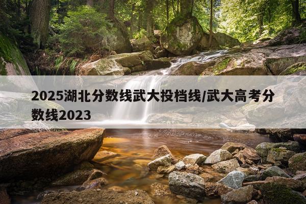 2025湖北分数线武大投档线/武大高考分数线2023