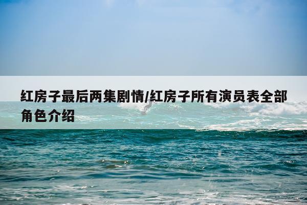 红房子最后两集剧情/红房子所有演员表全部角色介绍