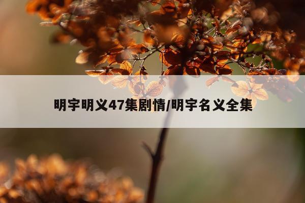 明宇明义47集剧情/明宇名义全集